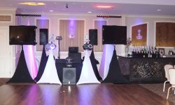Our Lopez Package. The photo booth was to the left side of the DJ set up. Fun party with all of the visual effect and photo montage.